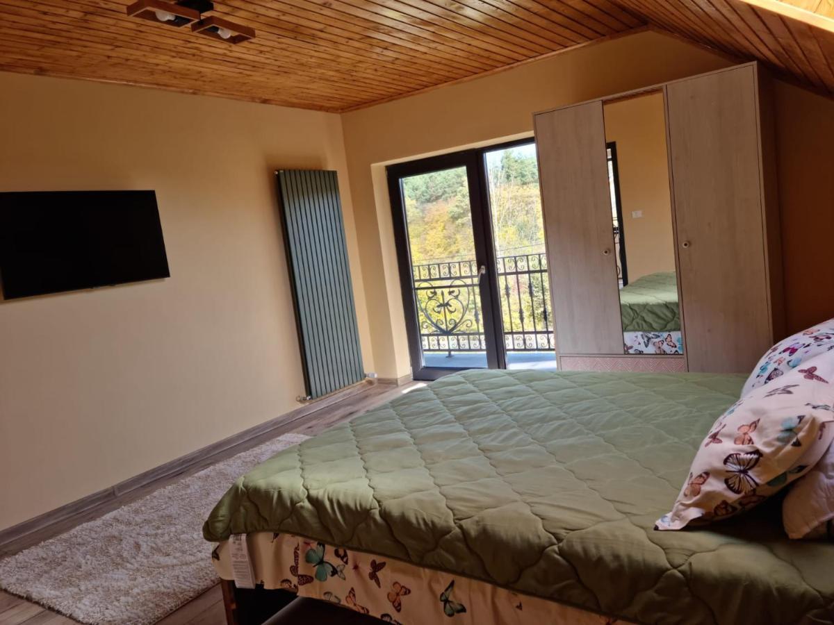 Case de vacanță Vila Lac Brașov
